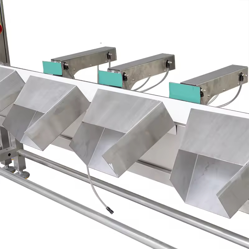Weight sorting grade Checkweigher machine 04
